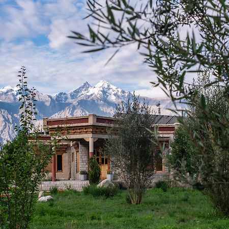 Hotel Lchang Nang Retreat-The House Of Trees-Nubra Valley Sumur Exteriér fotografie