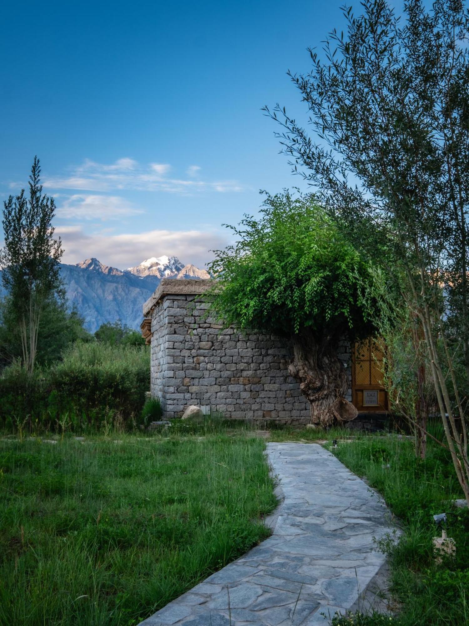 Hotel Lchang Nang Retreat-The House Of Trees-Nubra Valley Sumur Exteriér fotografie